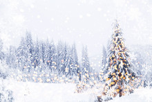 Magical Christmas Tree Lights Winter Background