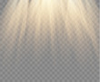 Spotlight isolated on transparent background. Vector gold rays and beams. Vector warm light effect