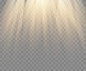 Aufkleber - Spotlight isolated on transparent background. Vector gold rays and beams. Vector warm light effect