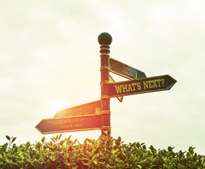 Handwriting text What S Next. Conceptual photo Asking whatever comes immediately after the present one Green road sign on the crossroads with blue sky and green grass in the background