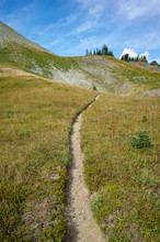 View Of The Pacific Crest Trail In Alpine Meadow, Goat Rocks Wilderness, Gifford Pinchot National Forest, Washington,Hiking Trail Through Alpine Wilderness