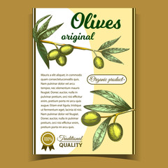 Sticker - Olives Original Organic Product Poster Vector. Traditional Italian Quality Ripe Olives And Golden Medal Award On Vertical Advertising Flyer Retro Style. Nutrition On Twig Layout Colorful Illustration