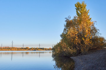 Wall Mural - autumn landscape with lake and trees