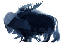 Watercolor Illustration Of Bear, Bison, Moose And Wolf Silhouettes In The Snow On A White Background