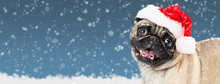 Christmas Pug Dog Web Banner