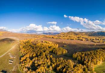 Wall Mural - Autumn autumn in Xinjiang.