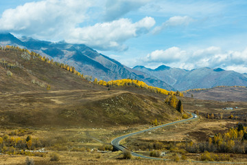 Poster - Autumn autumn in Xinjiang.