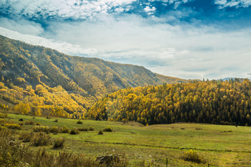 Poster - Autumn autumn in Xinjiang.