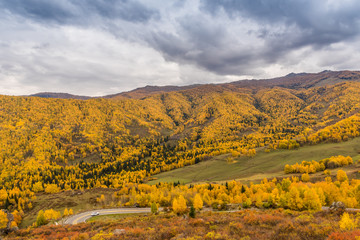 Poster - Autumn autumn in Xinjiang.