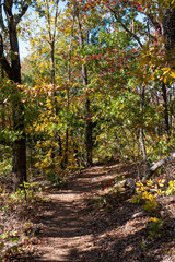 Wall Mural - Pine Mountain Trail in the Fall