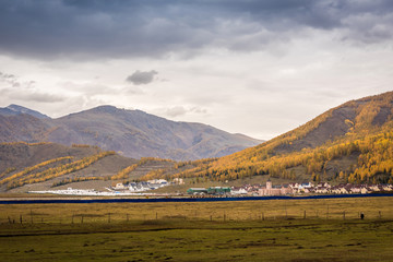 Poster - Autumn autumn in Xinjiang.