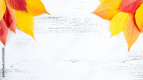 紅葉した秋の葉っぱの背景 文字スペースあり Comprar Esta Foto De Stock Y Explorar Imagenes Similares En Adobe Stock Adobe Stock 紅葉した秋の葉っぱの背景 文字スペースあり Comprar Esta Foto De Stock Y Explorar Imagenes Similares En Adobe Stock Adobe Stock