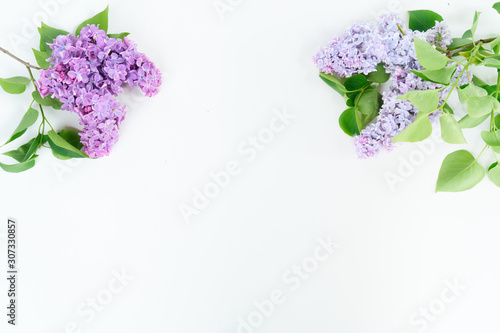 Fresh lilac flowers