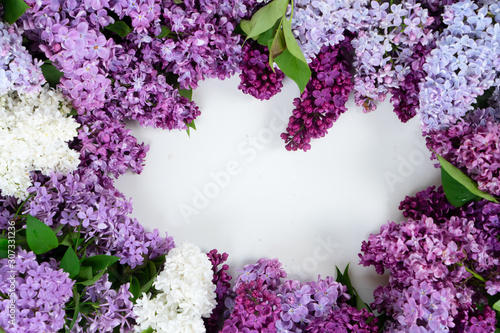 Fresh lilac flowers