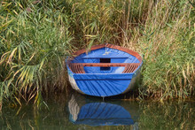 Fishing Boat In The Reed