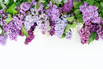 fresh lilac flowers