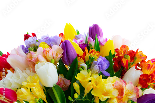 fresh tulips flowers