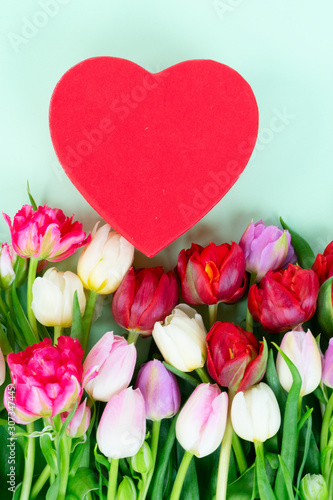 Fresh tulips flowers with heart