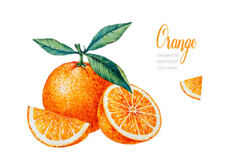 Wall Mural - Watercolor Orange. Watercolor botanical illustration. Citrus fruit. Orange set. Slices of orange