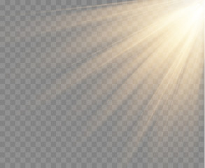 Aufkleber - Spotlight isolated on transparent background. Vector sunlight with gold rays and beams. Warm light effect