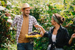 © JustLife - Beautiful couple harvesting fruit at farm.