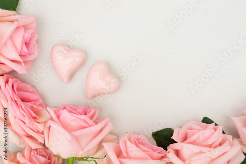 fresh rose flowers