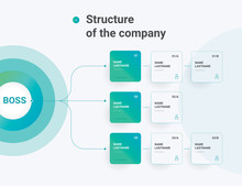 Structure Of The Company. Business Hierarchy Organogram Chart Infographics. Corporate Organizational Structure Graphic Elements. 