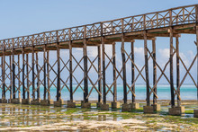 Timber Piles Of Wooden Bridge Close-up During Ocean Low Tide. Coast Of Island Zanzibar, Tanzania, Africa