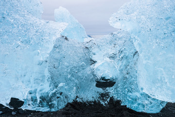 Ice floes lying on a black beach near Jokulsarlon glacier lagoon in Iceland