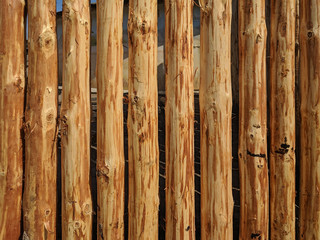 Wall Mural - log wooden fence
