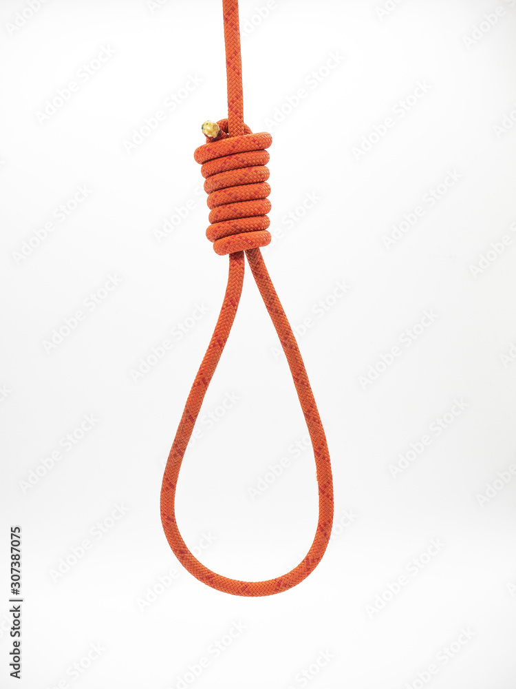 Red rope for gallows with hangman noose and hanging knot isolated on a white background - obrazy, fototapety, plakaty 