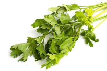 Wall Mural - fresh celery isolated on white background