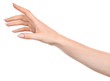 © Илья Подопригоров - Female caucasian hands  isolated white background showing  gesture points finger to something or someone.  woman hands showing different gestures