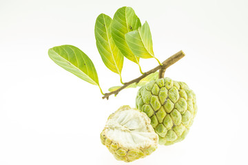 Wall Mural - custard apple