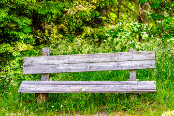 Wall Mural - wooden parkbench