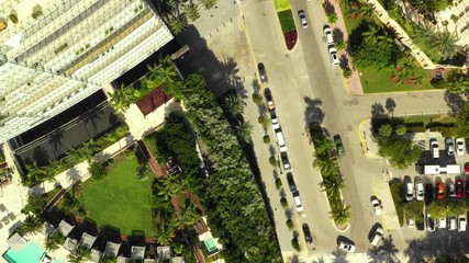 Wall Mural - Aerial overhead generic scene Miami Beach with buildings and palm trees 4k