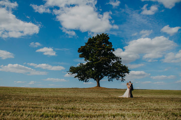 Loving bride and groom are standing under a tree.