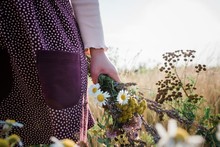 Young Girls Hand Holding A Bunch Of Wildflowers In A Meadow At Sunset