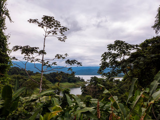 Wanderung in der hügeligen Landschaft am Arenal See im Norden von Costa Rica mit seiner üppigen Vegetation