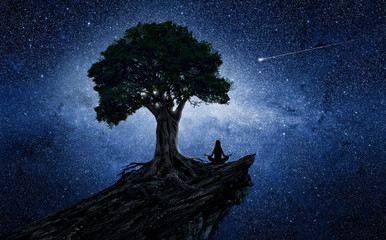 Wall Mural - yoga woman under a tree in front of the universe