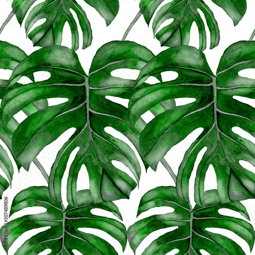 Watercolor seamless pattern with tropical leaves and flowers. Beautiful allov...