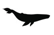 Vector black blue whale silhouette isolated on white background