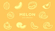 melon icon collection (vector fruits)