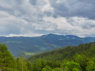 forested rolling hill on a cloudy day. lovely nature scenery of mountainous countryside.