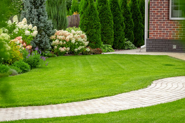freshly cut grass in the backyard of a private house.