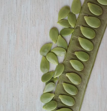 Green Beans. Carob Green Seeds On Wooden Background.