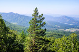 Fototapeta Na ścianę - Altay Chemal beautiful mountains, green trees, pines, breathtaking views, landscapes and panoramas Russia