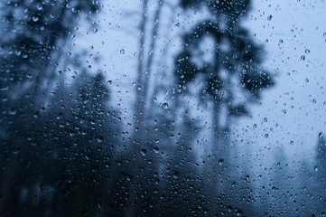 Wall Mural - closeup shot of a wet glass reflecting the rainy forest scenery