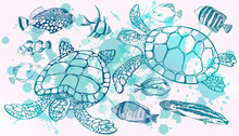 Sea Turtle And Tropical Fish. Marine Set. Perfect For Invitations, Greeting Cards, Print, Banners, Poster For Textiles, Fashion Design.