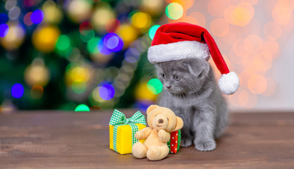 Canvas Print - Funny baby kitten wearing a red santa hat sits with gift boxes and toy bear with Christmas tree on background. Empty space for text